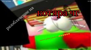 разоблачение на котяру чг