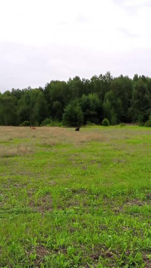 вело прогулка