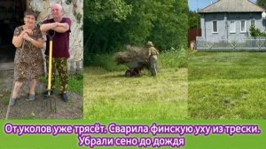 От уколов уже трясёт. Сварила финскую уху из трески. Убрали сено до дождя