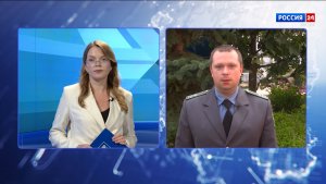 Быть в курсе: в лесах Кировской области поселился опасный вредитель - уссурийский полиграф