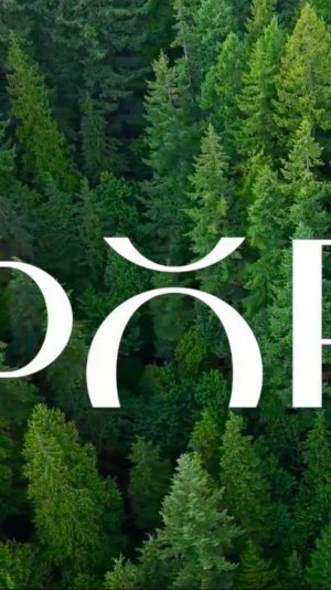 Продается земельный участок 8 соток в КП Форест