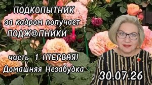 1 часть. ПОДКОПЫТНИК за кадром получает ПОДЖ@ПНИКИ❗️