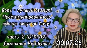 2 часть. Для кучи боль - лучший стимул😱❗️ПРОСТИМУЛИРОВАННОГО С@ПЛЮ везут на дачу❗️