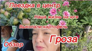 29-07-2026/Из Сибири на юг//Мечты сбываются/Поездка в центр//Урожай картофеля//Обзор покупок//Гроза/