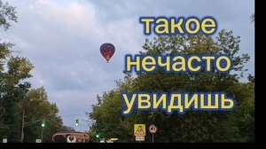 Нечасто такое увидишь. Утренний сбор урожая. Садовая стрижка и т. д.