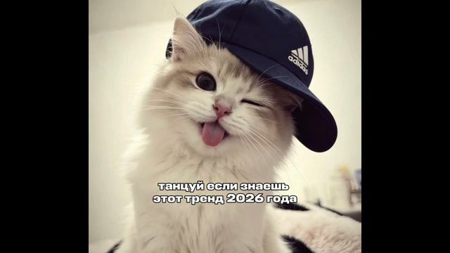 танцуй если знаешь этот тренд 2026 года