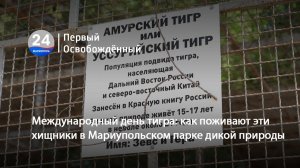 Международный день тигра как поживают эти хищники в Мариупольском парке дикой природы. 29.07.2026