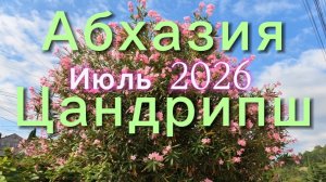 Прогулка по  Цандрипш. Абхазия