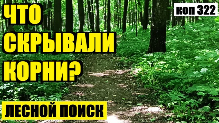 БОЛЬШАЯ МЕДНАЯ МОНЕТА И СЛЕДЫ ПРИСУТСТВИЯ .....!  коп 322