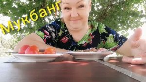 29. 07. 26  #mukbangtatyanaeats #еда на природе