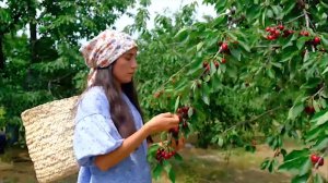 Жизнь  в горах молодой семьи !Три  урожая фруктов Азербайджанская Кухня Деревенская Кухня  Рецепты