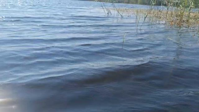 тюмень озеро Липовое дикий отдых