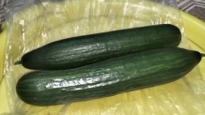 Купил в Дикси огурцы по финальной цене