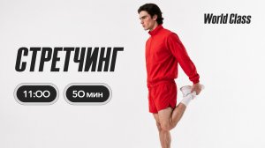 СТРЕТЧИНГ с Аленой Климовой | 1 августа 2026 | Онлайн-тренировки World Class