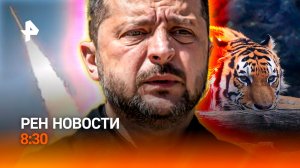 Иордания под ударом ракет / Санкции против России / День тигра / РЕН Новости 8:30, 29.07.26