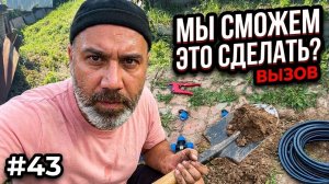 №43 Газон с нуля: ровняю участок, делаю полив и засеваю травой