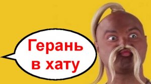 Герань в хату _ Мошенники звонят по телефону