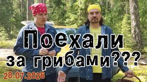 Поехали за грибами??? 28.07.2026
