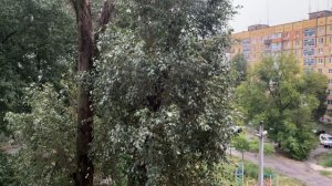 (Барахолка ТВ)Днепр 28 июля 2026 г.