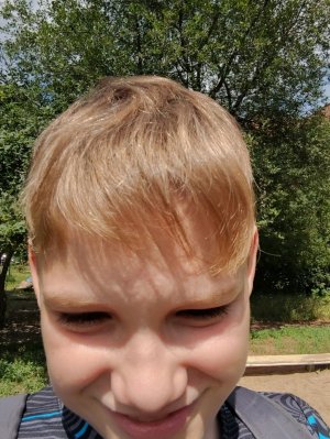 ответы на вопросы