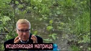Самая_Мощная_Матрица_Гаряева_☀️Регенерации_и_Восстановление_Всего