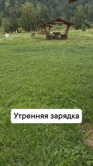 утренняя гимнастика
