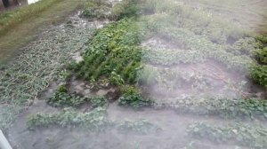 🌧🌩Сегодня град и ливень (29.07.2029)🌧🌧