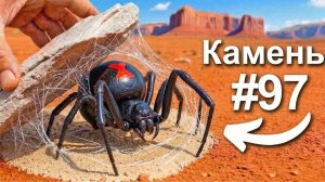 Я Перевернул 100 Камней в Австралии, Вот Что Я Нашел...