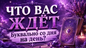 Что вас ждёт буквально со дня на день? Гадание пасьянс Tarot Reading