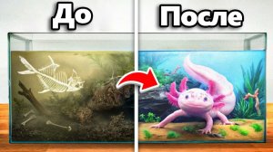 Я Преобразил Заброшенный Дом Аксолотля