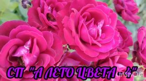 СП «А ЛЕТО ЦВЕТА - 4» /2026
УЧАСТНИК № - 34
#а_лето_цвета4_отчет4