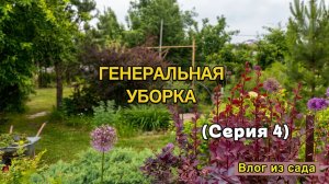 🔴Генеральная УБОРКА В САДУ! Обрезка можжевельников и барбарисов ✂️ Преображение клумбы