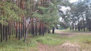 Увольнение по несовместимости характерами