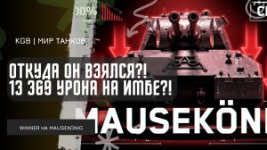 WINNER_IN_LIFE ★ ОТКУДА ОН ВЗЯЛСЯ?! ДАЛ 13 369 УРОНА НА MAUSEKONIG!
