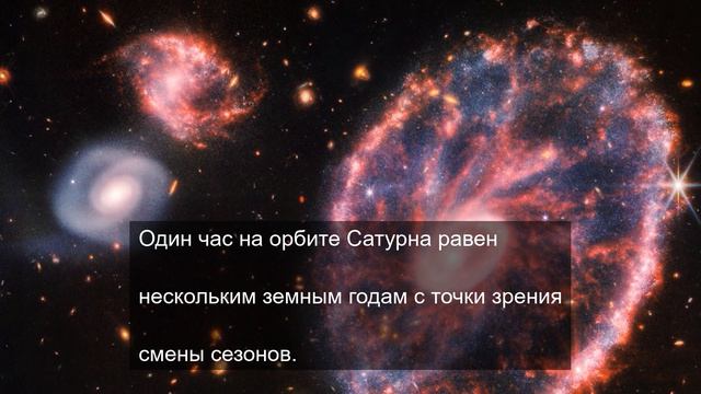 Счастливый желудок 5