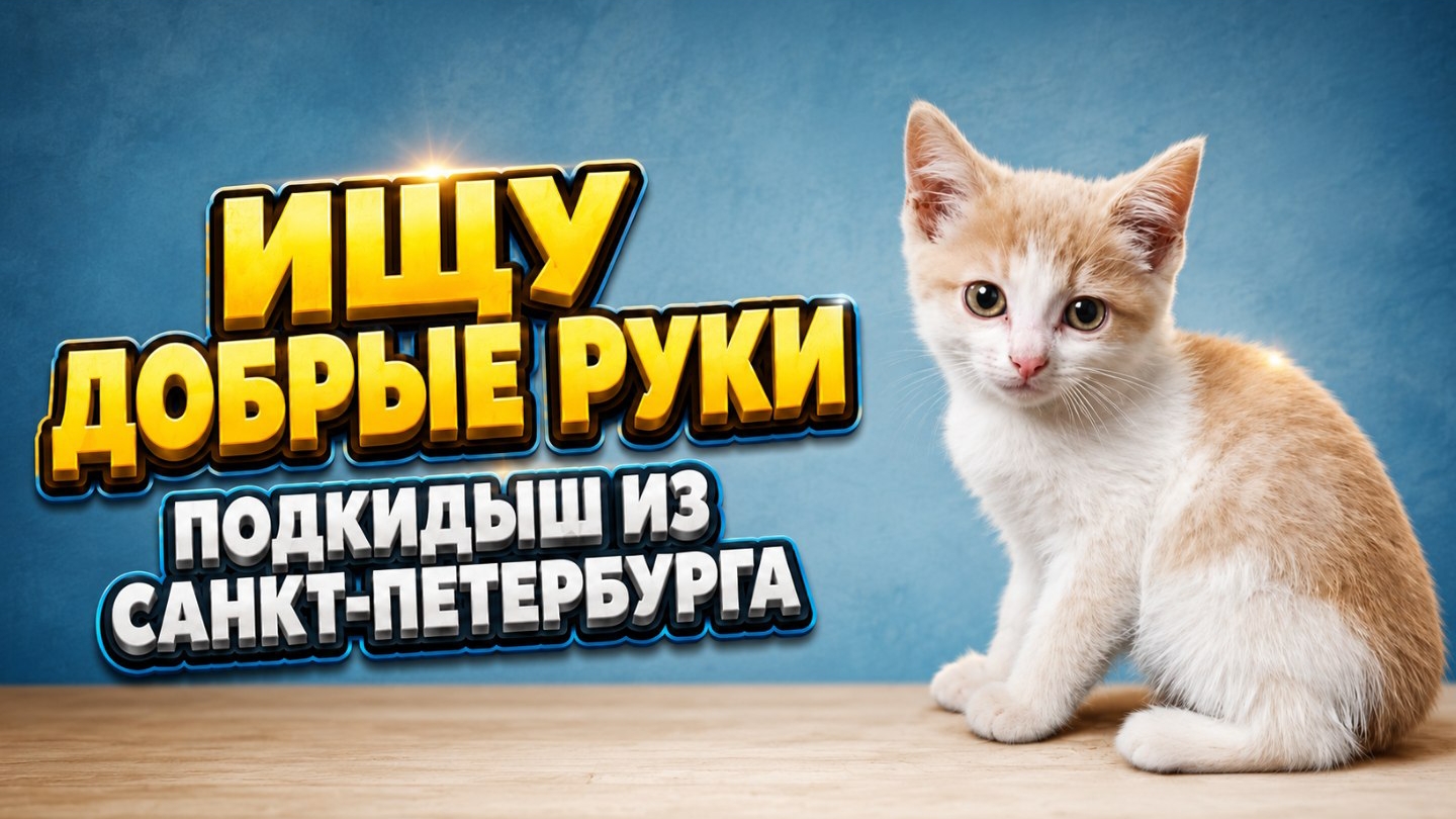 Ищу Добрые руки. Подкидыш из Санкт-Петербурга.