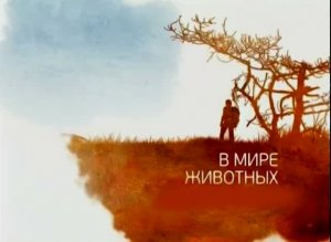В мире животных