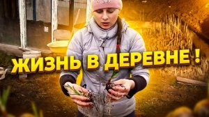 ОТКРЫТИЕ СЕЗОНА. КОПАЕМ МЕТАЛЛОЛОМ , САДИМ ЛУК И МОРКОВЬ, ЖИЗНЬ В ДЕРЕВНЕ 30 серия