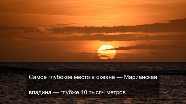 Счастливый желудок 4