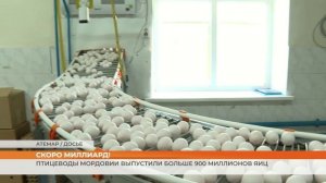 Птицеводы Мордовии выпустили больше 900 миллионов яиц