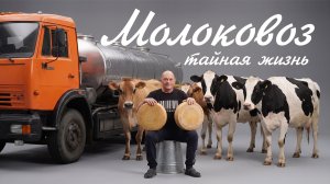 Вся правда о жизни водителя МОЛОКОВОЗА!