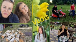 Разбираем последствие урагана,покрасила Алису.