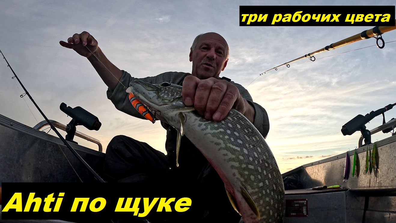 Luremax Ahti по щуке. Какой цвет выбрать. Особенности сезона 26.