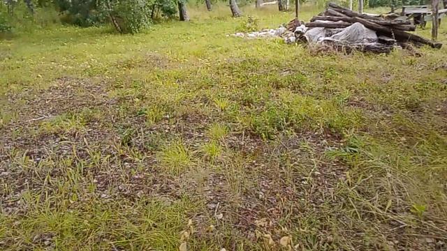 Ужас Жена озадачила работой, последний день отпуска.