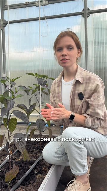 НУ ЧЕГО ТЫ ПРИЛИП КАК БАННЫЙ ЛИСТ?
