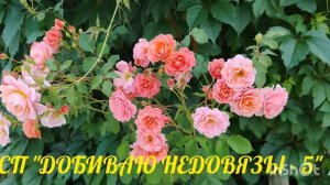 СП «ДОБИВАЮ НЕДОВЯЗЫ-5»/ 2026 / отчёт N 4