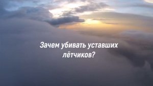 🔴Либеральные якобы патриотические фильмы - «Зачем убивать уставших лётчиков?»🔴