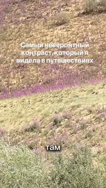 Видео от АвтоПродажи | CRM, Боты, Сайты для Бизнеса