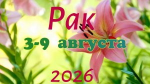 Рак♋ Таро-прогноз на неделю с 3 по 9 августа 🕊