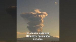 ГЛАВНОЕ ЗА МИНУТУ | 29.07.26 #камчатка #новости